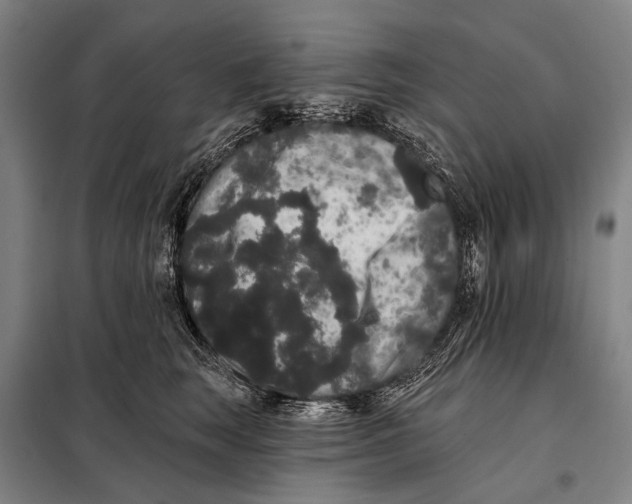 X0000097910663200804041502