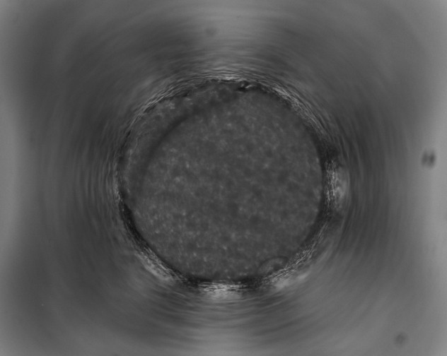 X0000097910664200804041502