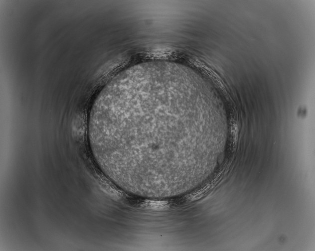 X0000097910665200804041502