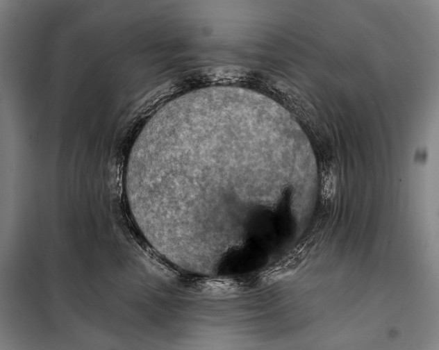 X0000097910666200804041502