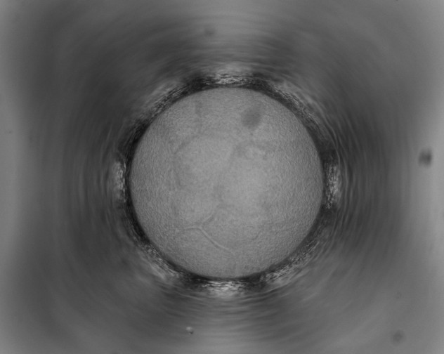 X0000097910667200804041502