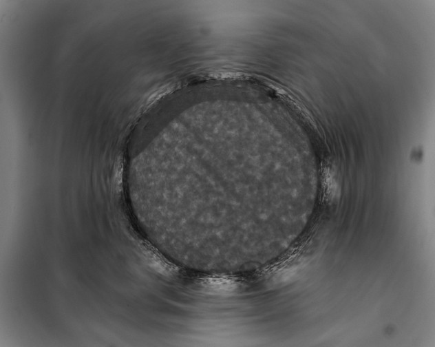 X0000097910668200804041503