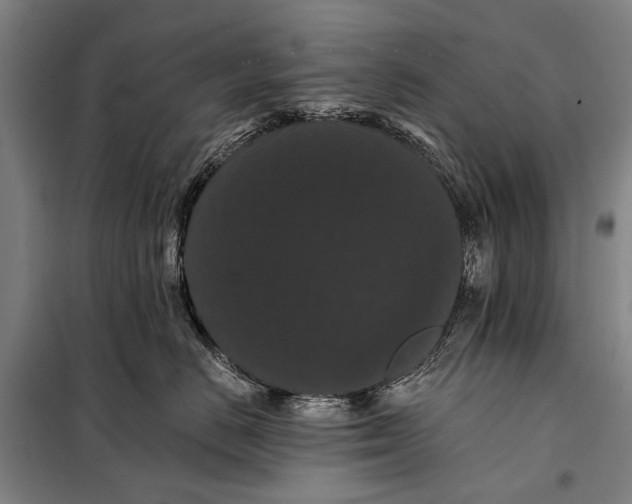 X0000097910670200804041503