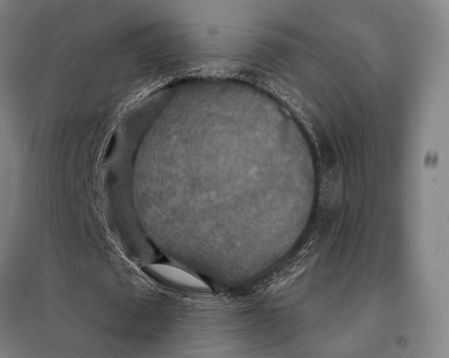 X0000097910673200804041502