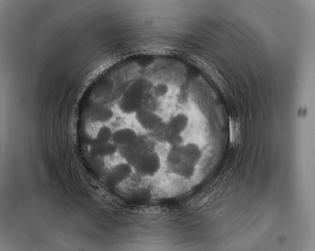 X0000097910675200804041502