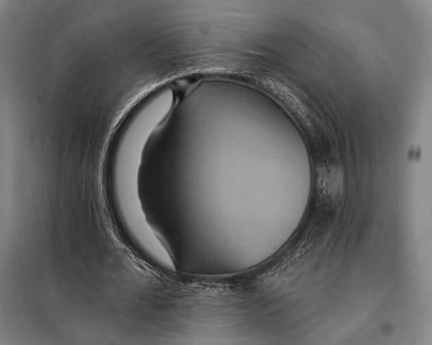 X0000097910676200804041502