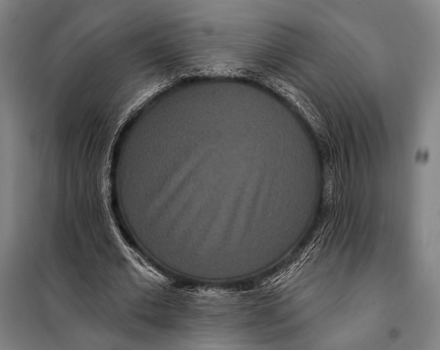 X0000097910677200804041502