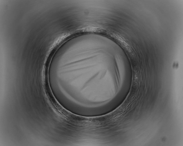 X0000097910678200804041502