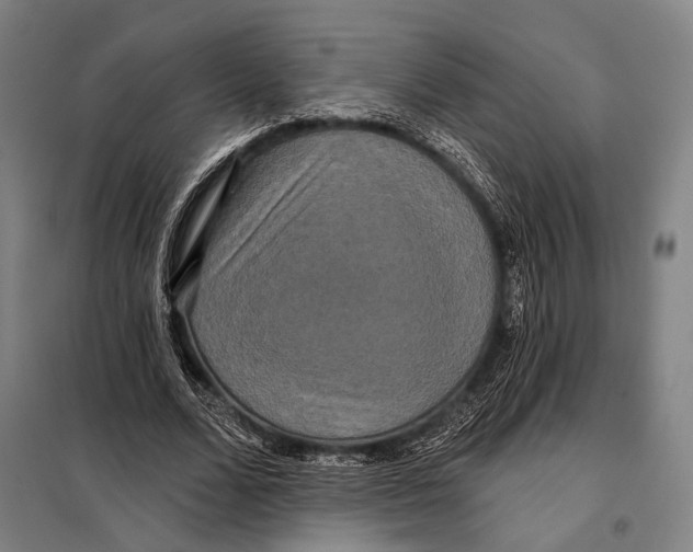 X0000097910680200804041502