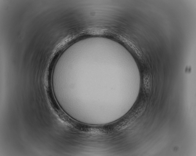 X0000097910682200804041502