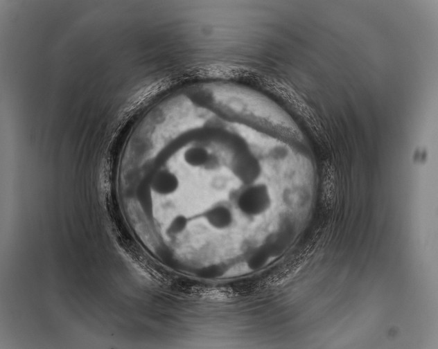 X0000097910683200804041502