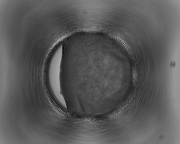 X0000097910684200804041502