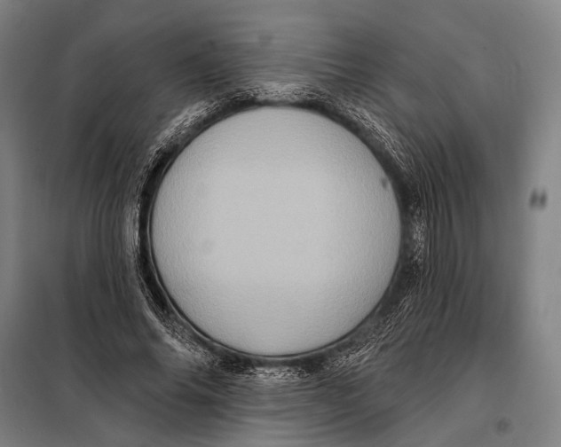 X0000097910686200804041502