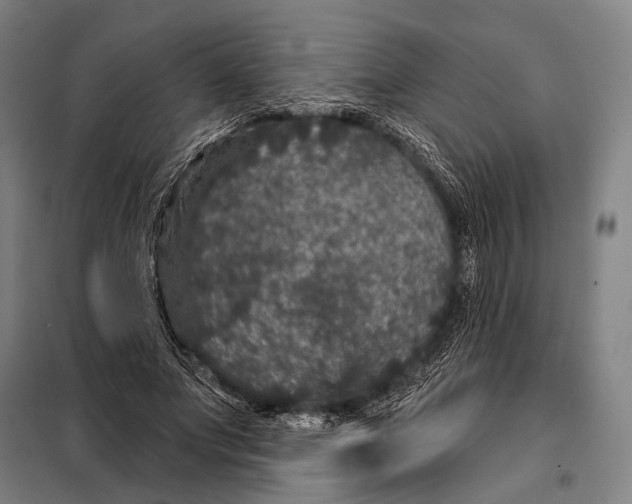 X0000097910687200804041502