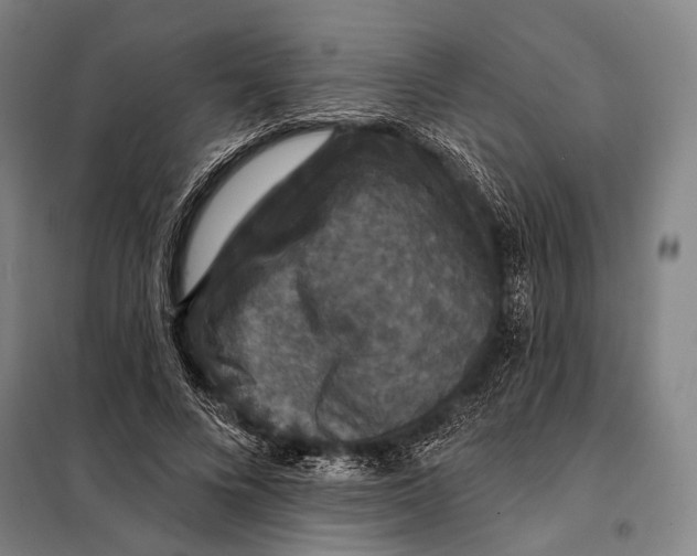 X0000097910688200804041502