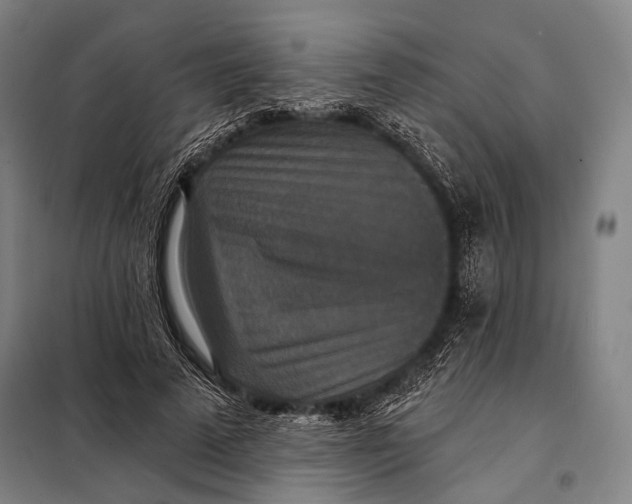 X0000097910689200804041502