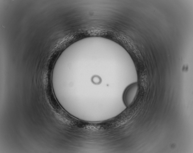 X0000097910690200804041502