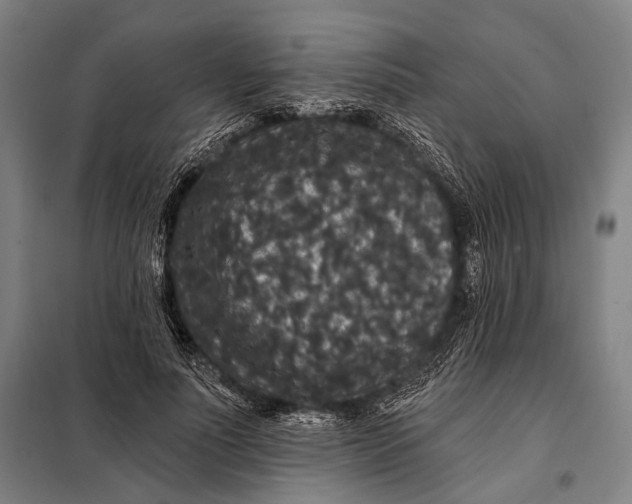 X0000097910691200804041502