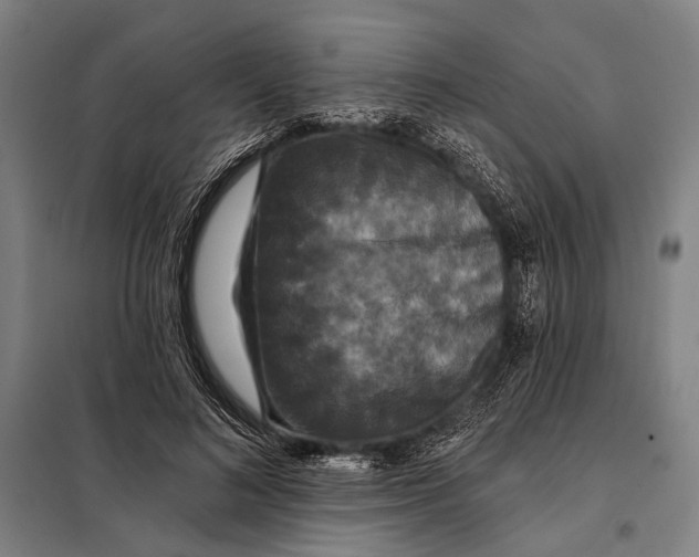 X0000097910692200804041502