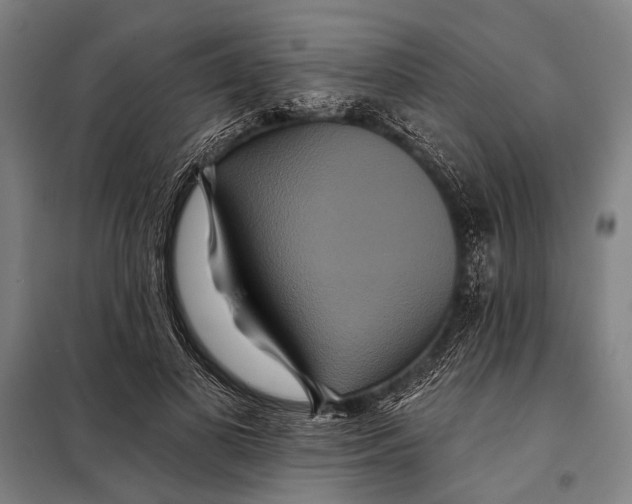 X0000097910693200804041502