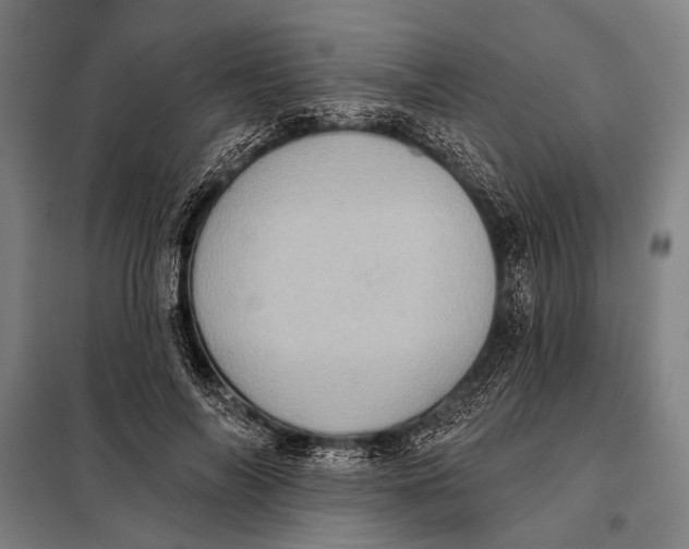 X0000097910694200804041502