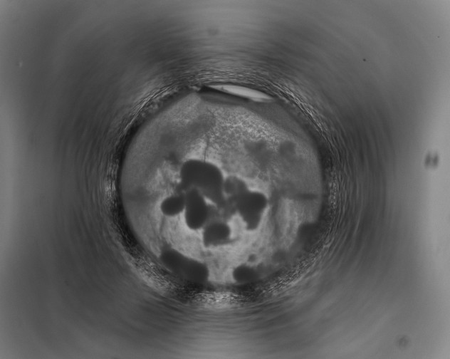 X0000097910695200804041502