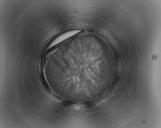 X0000097910696200804041502