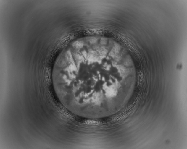 X0000097910699200804041502