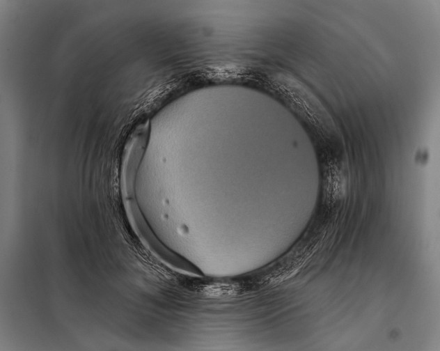 X0000097910700200804041502