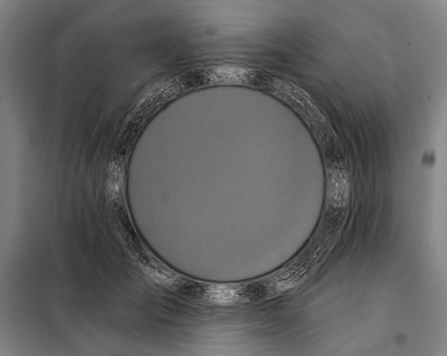 X0000097910701200804041502