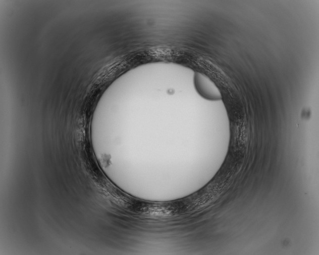 X0000097910702200804041502