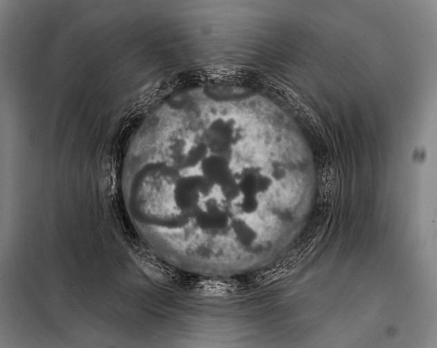 X0000097910703200804041501