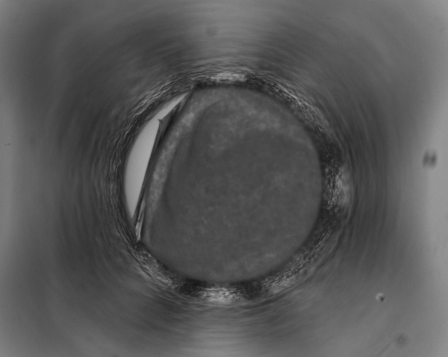 X0000097910704200804041501