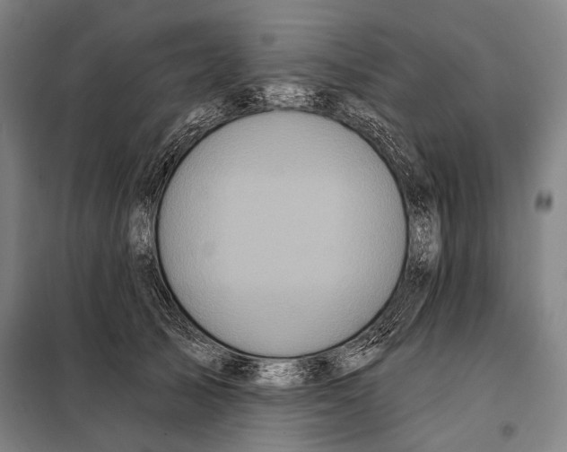 X0000097910705200804041501