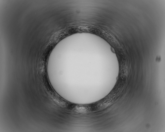 X0000097910706200804041501