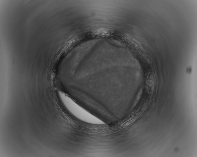 X0000097910708200804041501