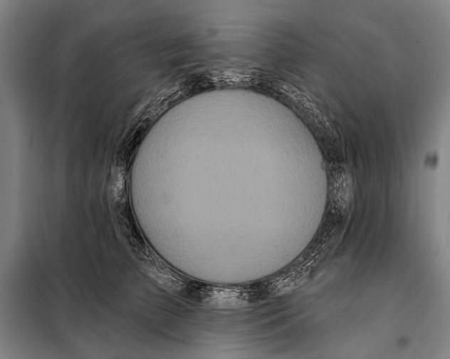 X0000097910709200804041501