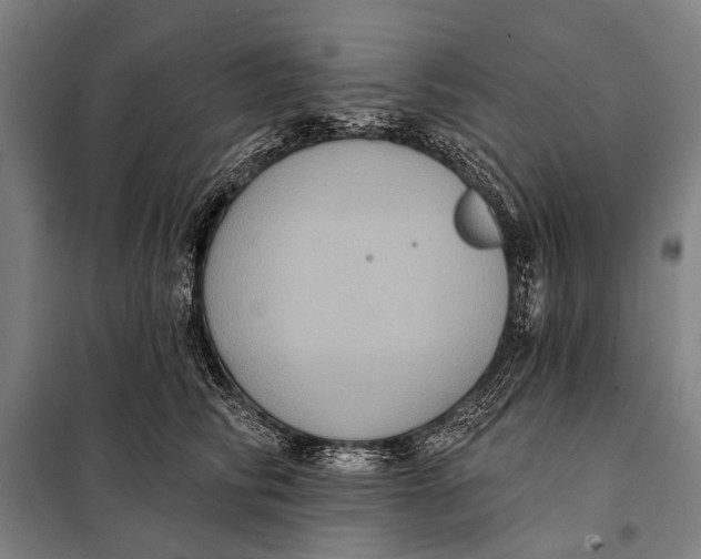 X0000097910710200804041501