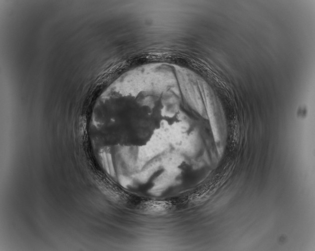 X0000097910711200804041501