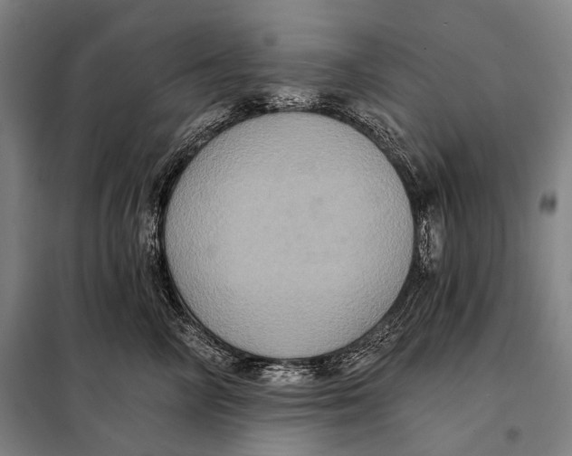 X0000097910714200804041501