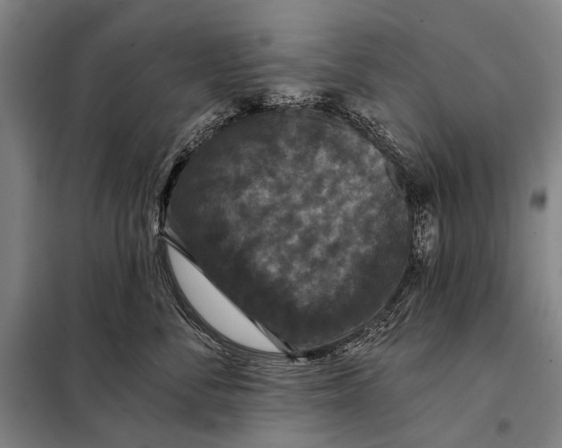 X0000097910716200804041501