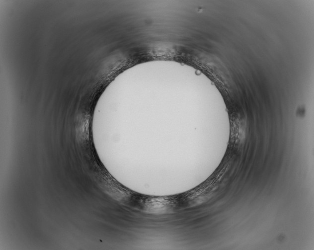 X0000097910717200804041501