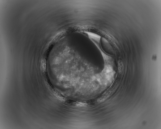 X0000097910718200804041501