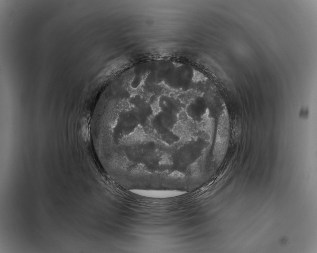 X0000097910719200804041501