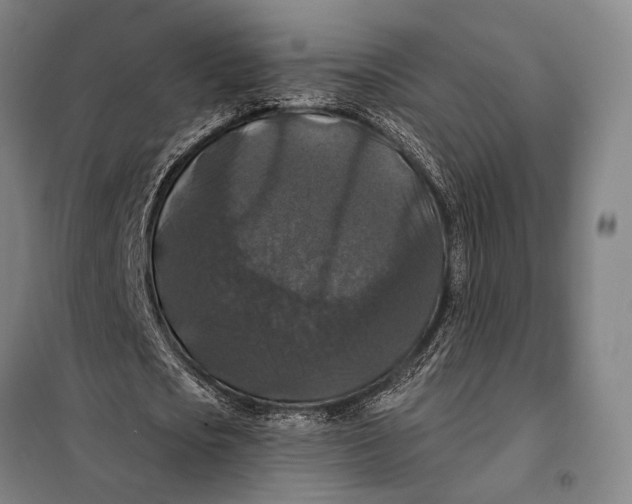 X0000097910721200804041500