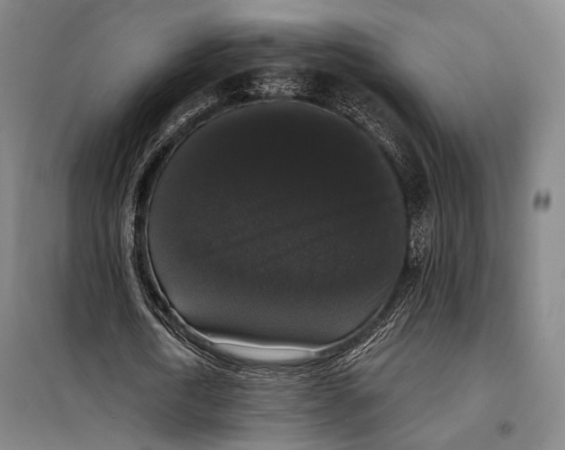 X0000097910722200804041500