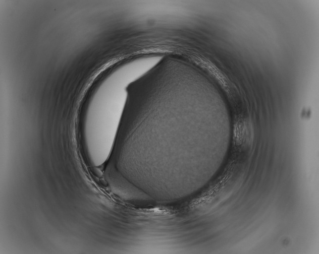 X0000097910724200804041500