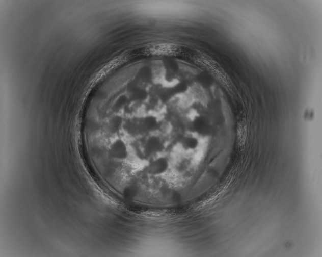 X0000097910725200804041500