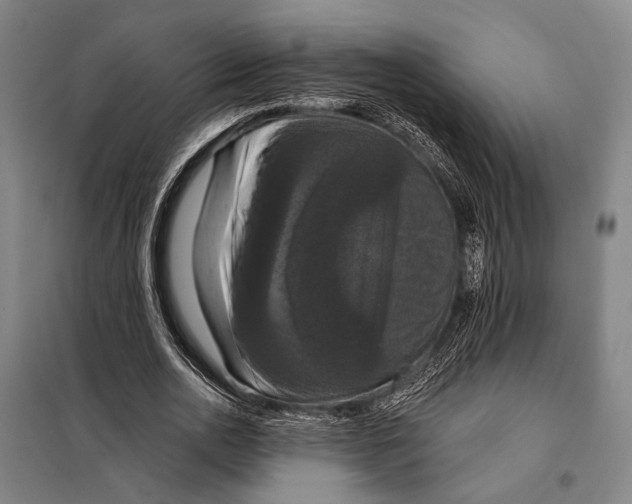 X0000097910726200804041501