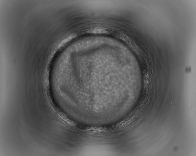 X0000097910727200804041501